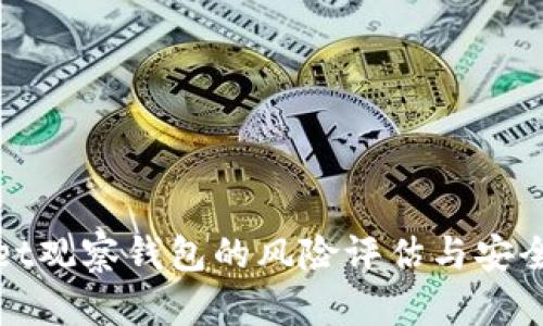 tpwallet观察钱包的风险评估与安全性分析