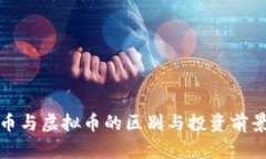 数码币与虚拟币的区别与
