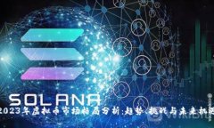 2023年虚拟币市场格局分析