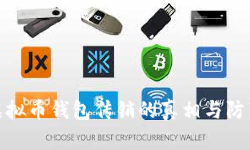 揭示虚拟币钱包传销的真相与防范措施