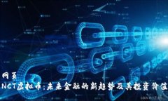 网页NCT虚拟币：未来金融