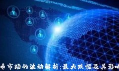 虚拟币市场的波动解析：