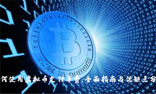 如何使用虚拟币支付车费：全面指南与优缺点分析