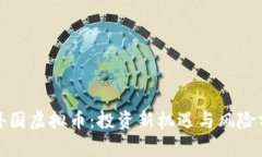 炒外国虚拟币：投资新机遇与风险分析