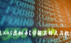 什么是XAS虚拟币？详解其特点与投资潜力