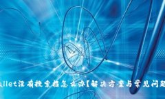 TPWallet没有搜索框怎么办？解决方案与常见问题解