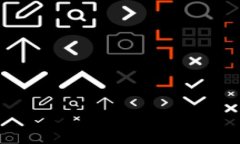 虚拟币诈骗笔录：揭开数