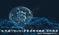 如何在TPWallet中查看持币地