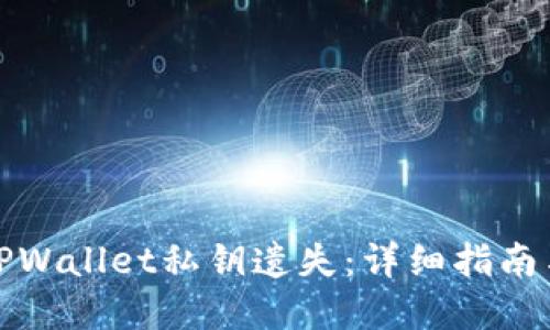 如何应对TPWallet私钥遗失：详细指南与解决方案