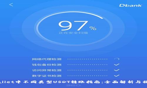 : TPWallet中不同类型USDT转账指南：全面解析与操作技巧