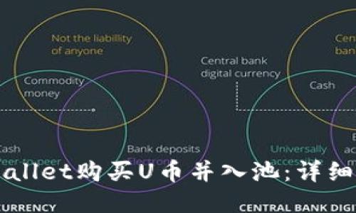如何通过TPWallet购买U币并入池：详细流程视频指南