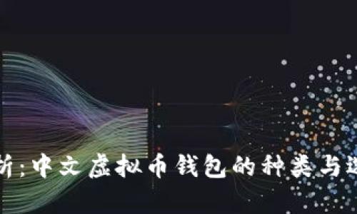 全面解析：中文虚拟币钱包的种类与选择指南