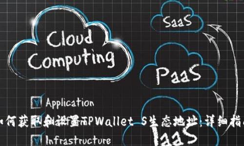 如何获取和设置TPWallet S生态地址：详细指南