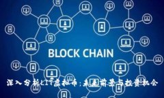 深入分析LIT虚拟币：未来