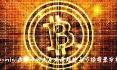 Bomini虚拟币的未来发展趋