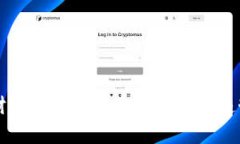 虚拟财富数字币的未来发