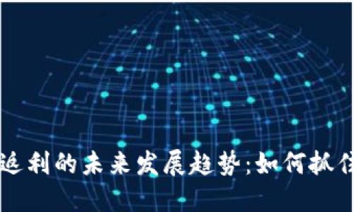 虚拟币交易返利的未来发展趋势：如何抓住机遇与挑战