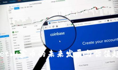 TPWallet山寨币的未来发展与估值趋势分析