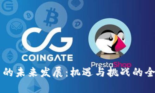 虚拟币的未来发展：机遇与挑战的全面分析