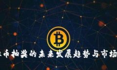 虚拟币抽奖的未来发展趋