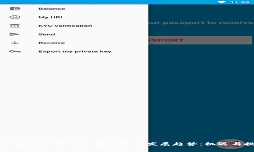 未来虚拟世界的免费虚拟币发展趋势：机遇与挑战