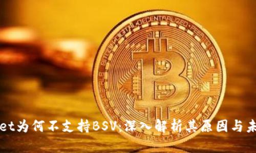 TPWallet为何不支持BSV：深入解析其原因与未来发展