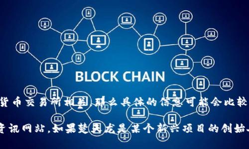 楚天龙并不是一个广为人知的虚拟币相关的名称。如果您是在问这个名字是否与某个特定的虚拟货币项目或加密货币交易所相关，那么具体的信息可能会比较有限。在加密货币领域，有许多不同的项目和组织，但并不是每一个名字都具有较高的知名度。

在了解楚天龙是否与虚拟币相关时，建议您参考最新的新闻报道、社交媒体动态，或查阅相关的区块链和加密货币资讯网站。如果楚天龙是某个新兴项目的创始人或开发者，您可能需要更深入的挖掘。希望这些建议能帮助您找到所需的信息！如果有其它问题，也欢迎随时提问。