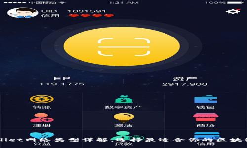 TPWallet网络类型详解：选择最适合你的区块链平台
