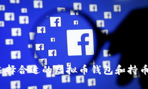 如何选择合适的虚拟币钱包和持币金额？