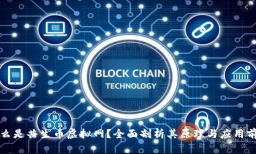 什么是共生币虚拟网？全面剖析其原理与应用前景