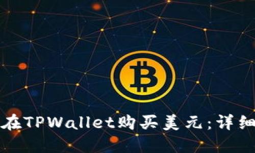 如何使用人民币在TPWallet购买美元：详细指南与实用技巧