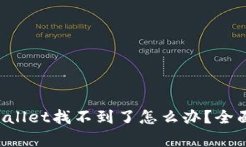 火币提币到TP Wallet找不到了怎么办？全面解析及解决方案