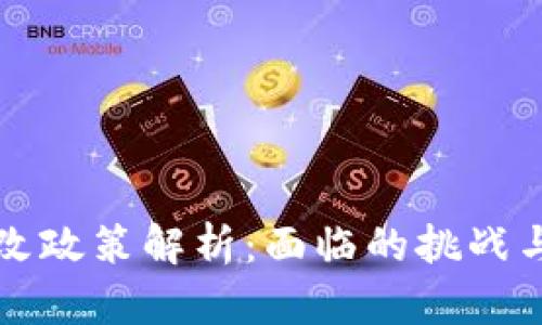 虚拟币整改政策解析：面临的挑战与未来方向