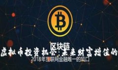 探索虚拟币投资机会：未