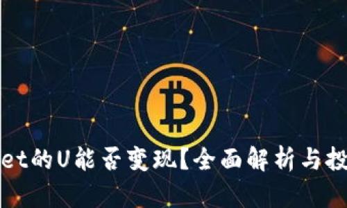 TPWallet的U能否变现？全面解析与投资策略
