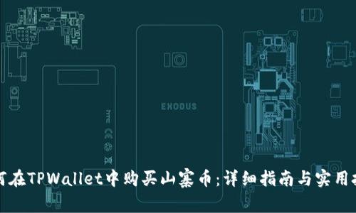 如何在TPWallet中购买山寨币：详细指南与实用技巧