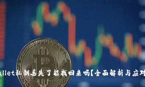 TPWallet私钥丢失了能找回来吗？全面解析与应对策略